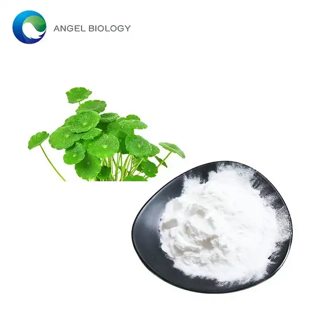 Gotu Kola Extract Asiaticoside: Nature's Skin Healer?